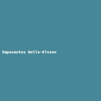 Imposantes Wolle-Kissen